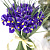 Букет из 25 Ирисов 7333